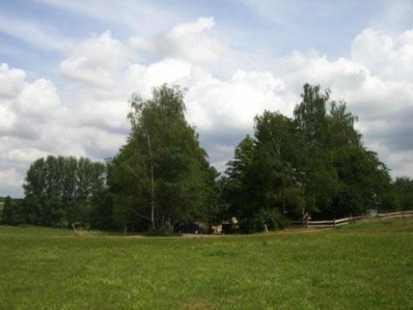 Gasthaus Zur Oelmuehle Oberderdingen Zewnętrze zdjęcie