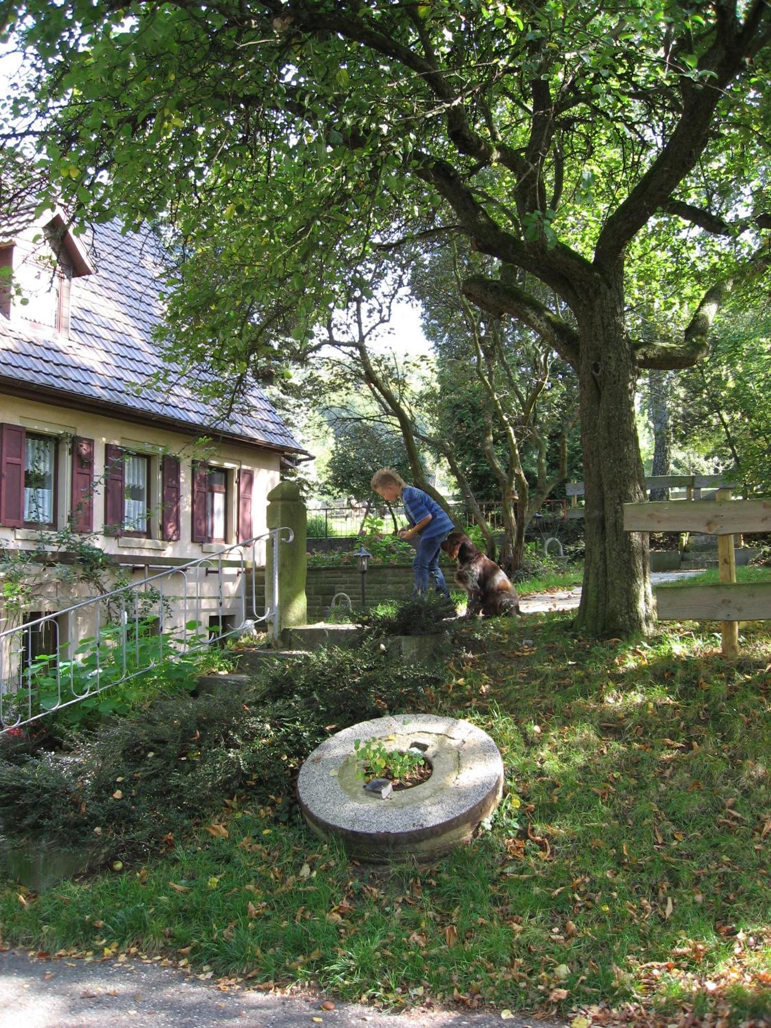 Gasthaus Zur Oelmuehle Oberderdingen Zewnętrze zdjęcie